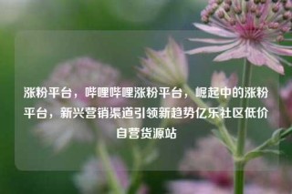 涨粉平台，哔哩哔哩涨粉平台，崛起中的涨粉平台，新兴营销渠道引领新趋势亿乐社区低价自营货源站