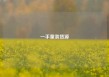 一手童装货源
