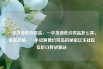 一手货源低价商品，一手货源低价商品怎么卖，独家揭秘，一手货源低价商品的秘密亿乐社区低价自营货源站