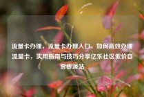 流量卡办理，流量卡办理入口，如何高效办理流量卡，实用指南与技巧分享亿乐社区低价自营货源站