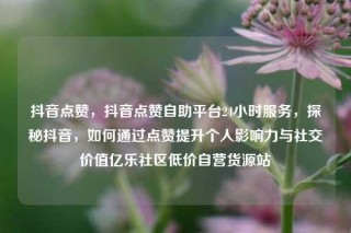 抖音点赞，抖音点赞自助平台24小时服务，探秘抖音，如何通过点赞提升个人影响力与社交价值亿乐社区低价自营货源站