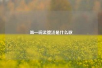 喝一碗孟婆汤是什么歌