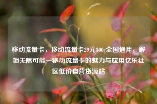 移动流量卡，移动流量卡29元300g全国通用，解锁无限可能—移动流量卡的魅力与应用亿乐社区低价自营货源站