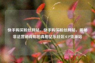 快手购买粉丝网站，快手购买粉丝网站，揭秘非法营销背后的真相亿乐社区SUP货源站