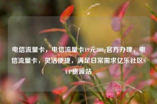 电信流量卡，电信流量卡19元200g官方办理，电信流量卡，灵活便捷，满足日常需求亿乐社区SUP货源站