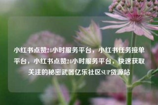 小红书点赞24小时服务平台，小红书任务接单平台，小红书点赞24小时服务平台，快速获取关注的秘密武器亿乐社区SUP货源站