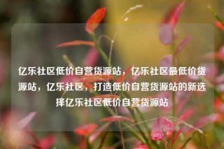 亿乐社区低价自营货源站，亿乐社区最低价货源站，亿乐社区，打造低价自营货源站的新选择亿乐社区低价自营货源站