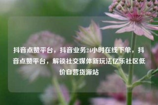 抖音点赞平台，抖音业务24小时在线下单，抖音点赞平台，解锁社交媒体新玩法亿乐社区低价自营货源站