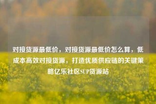 对接货源最低价，对接货源最低价怎么算，低成本高效对接货源，打造优质供应链的关键策略亿乐社区SUP货源站