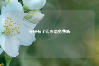 等哥有了钱原唱免费听