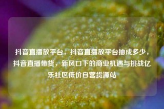 抖音直播放平台，抖音直播放平台抽成多少，抖音直播带货，新风口下的商业机遇与挑战亿乐社区低价自营货源站