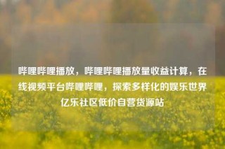 哔哩哔哩播放，哔哩哔哩播放量收益计算，在线视频平台哔哩哔哩，探索多样化的娱乐世界亿乐社区低价自营货源站