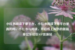 小红书阅读下单平台，小红书阅读下单平台是真的吗，小红书与阅读，开启线上购书的新篇章亿乐社区SUP货源站