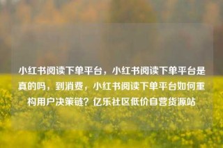小红书阅读下单平台，小红书阅读下单平台是真的吗，到消费，小红书阅读下单平台如何重构用户决策链？亿乐社区低价自营货源站