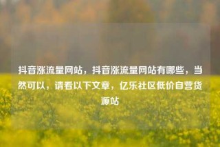 抖音涨流量网站，抖音涨流量网站有哪些，当然可以，请看以下文章，亿乐社区低价自营货源站