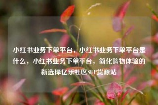 小红书业务下单平台，小红书业务下单平台是什么，小红书业务下单平台，简化购物体验的新选择亿乐社区SUP货源站