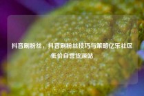 抖音刷粉丝，抖音刷粉丝技巧与策略亿乐社区低价自营货源站