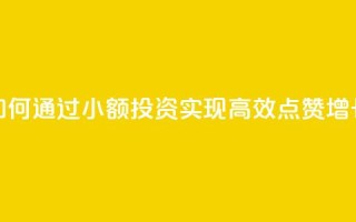 如何通过小额投资实现高效点赞增长