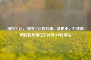 涨粉平台，涨粉平台秒到账，落地页，打造你的涨粉秘籍亿乐社区SUP货源站