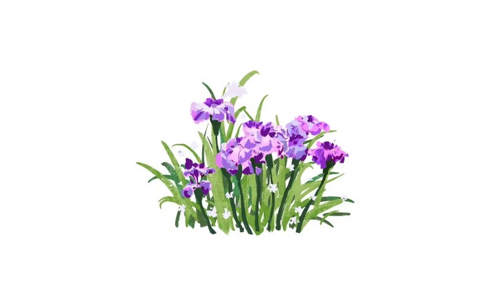 花开之处，便是故地  第3张