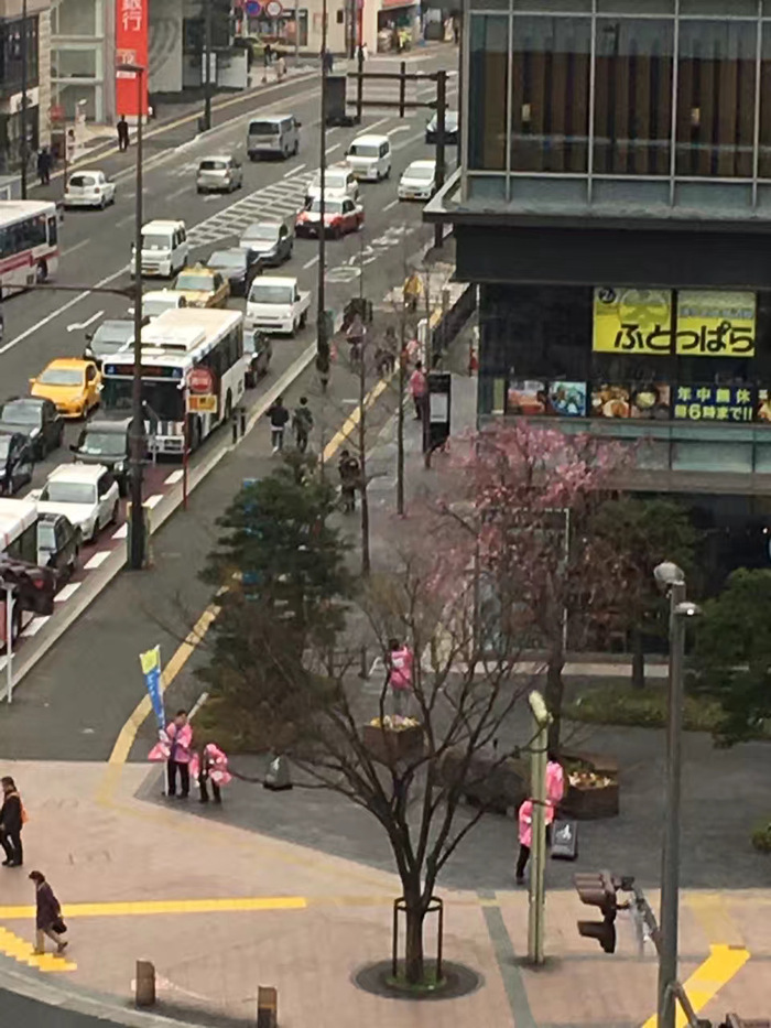 花开之处，便是故地  第13张