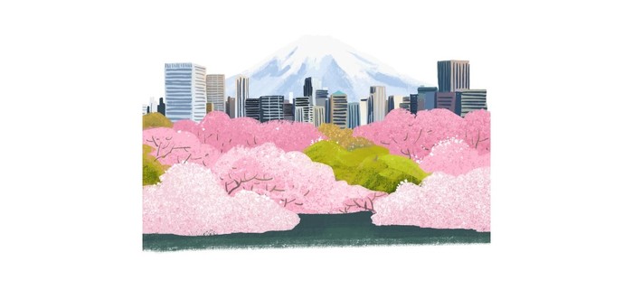 花开之处	，便是故地  第12张