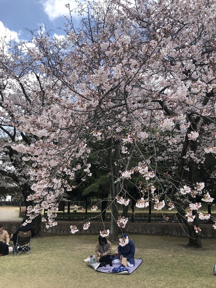 花开之处，便是故地  第17张