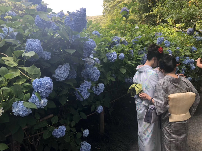 花开之处，便是故地  第26张