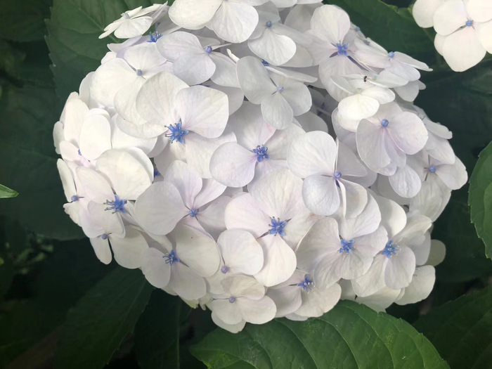 花开之处，便是故地  第29张