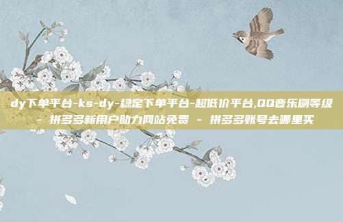 dy下单平台-ks-dy-稳定下单平台-超低价平台,QQ音乐刷等级 - 拼多多新用户助力网站免费 拼多多账号去哪里买  第1张