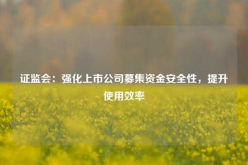 证监会：强化上市公司募集资金安全性，提升使用效率  第1张