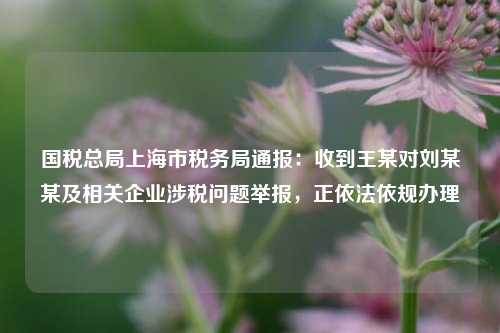 国税总局上海市税务局通报：收到王某对刘某某及相关企业涉税问题举报，正依法依规办理  第1张