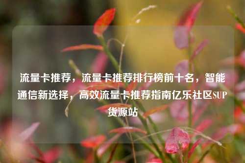 流量卡推荐，流量卡推荐排行榜前十名	，智能通信新选择，高效流量卡推荐指南亿乐社区SUP货源站  第1张
