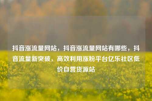 抖音涨流量网站，抖音涨流量网站有哪些，抖音流量新突破，高效利用涨粉平台亿乐社区低价自营货源站  第1张