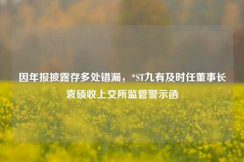 因年报披露存多处错漏，*ST九有及时任董事长袁硕收上交所监管警示函  第1张