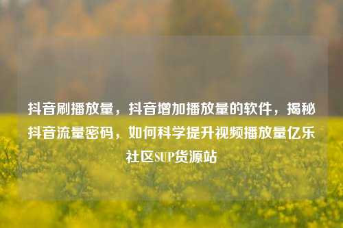 抖音刷播放量，抖音增加播放量的软件，揭秘抖音流量密码，如何科学提升视频播放量亿乐社区SUP货源站  第1张