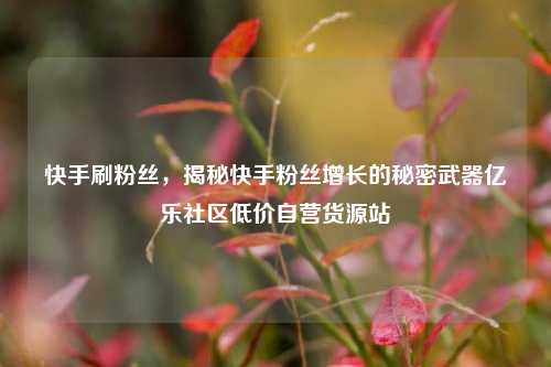 快手刷粉丝，揭秘快手粉丝增长的秘密武器亿乐社区低价自营货源站  第1张