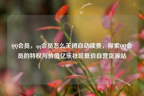 QQ会员，qq会员怎么关闭自动续费，探索QQ会员的特权与价值亿乐社区低价自营货源站  第1张