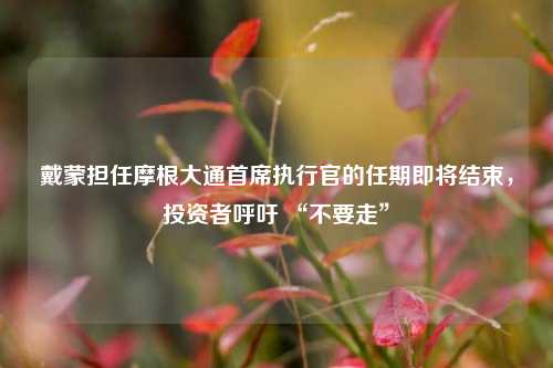 戴蒙担任摩根大通首席执行官的任期即将结束，投资者呼吁 “不要走”  第1张