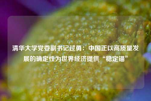 清华大学党委副书记过勇：中国正以高质量发展的确定性为世界经济提供“稳定锚”  第1张