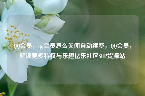QQ会员，qq会员怎么关闭自动续费，QQ会员，解锁更多特权与乐趣亿乐社区SUP货源站  第1张