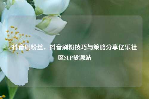 抖音刷粉丝，抖音刷粉技巧与策略分享亿乐社区SUP货源站  第1张