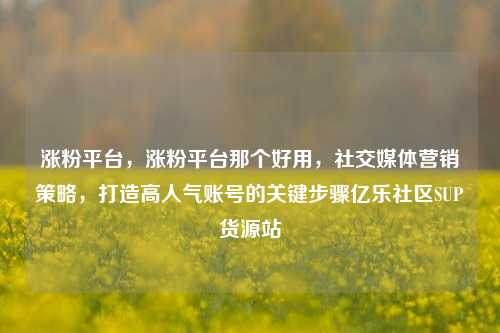涨粉平台，涨粉平台那个好用，社交媒体营销策略	，打造高人气账号的关键步骤亿乐社区SUP货源站  第1张