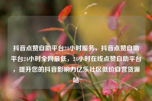 抖音点赞自助平台24小时服务，抖音点赞自助平台24小时全网最低，24小时在线点赞自助平台	，提升您的抖音影响力亿乐社区低价自营货源站  第1张