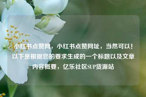 小红书点赞网，小红书点赞网址，当然可以！以下是根据您的要求生成的一个标题以及文章内容概要	，亿乐社区SUP货源站  第1张