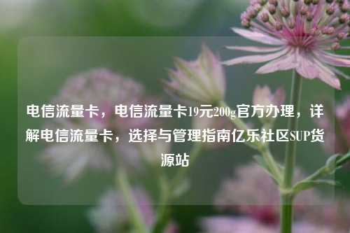 电信流量卡，电信流量卡19元200g官方办理，详解电信流量卡，选择与管理指南亿乐社区SUP货源站  第1张