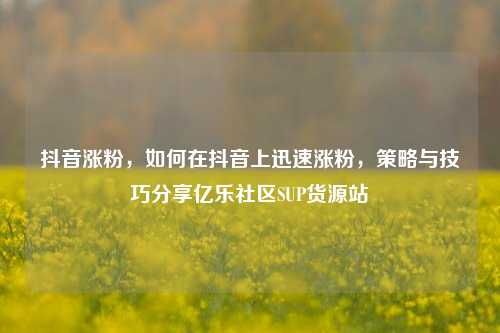 抖音涨粉，如何在抖音上迅速涨粉，策略与技巧分享亿乐社区SUP货源站  第1张