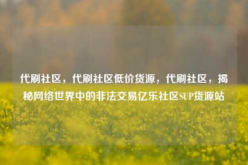 代刷社区	，代刷社区低价货源，代刷社区，揭秘网络世界中的非法交易亿乐社区SUP货源站  第1张