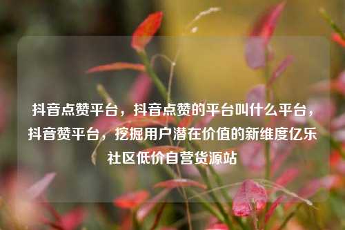 抖音点赞平台，抖音点赞的平台叫什么平台，抖音赞平台，挖掘用户潜在价值的新维度亿乐社区低价自营货源站  第1张