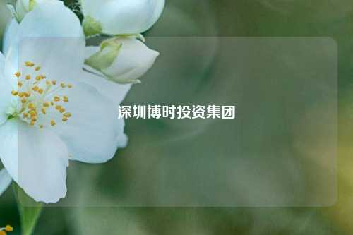 深圳博时投资集团  第1张